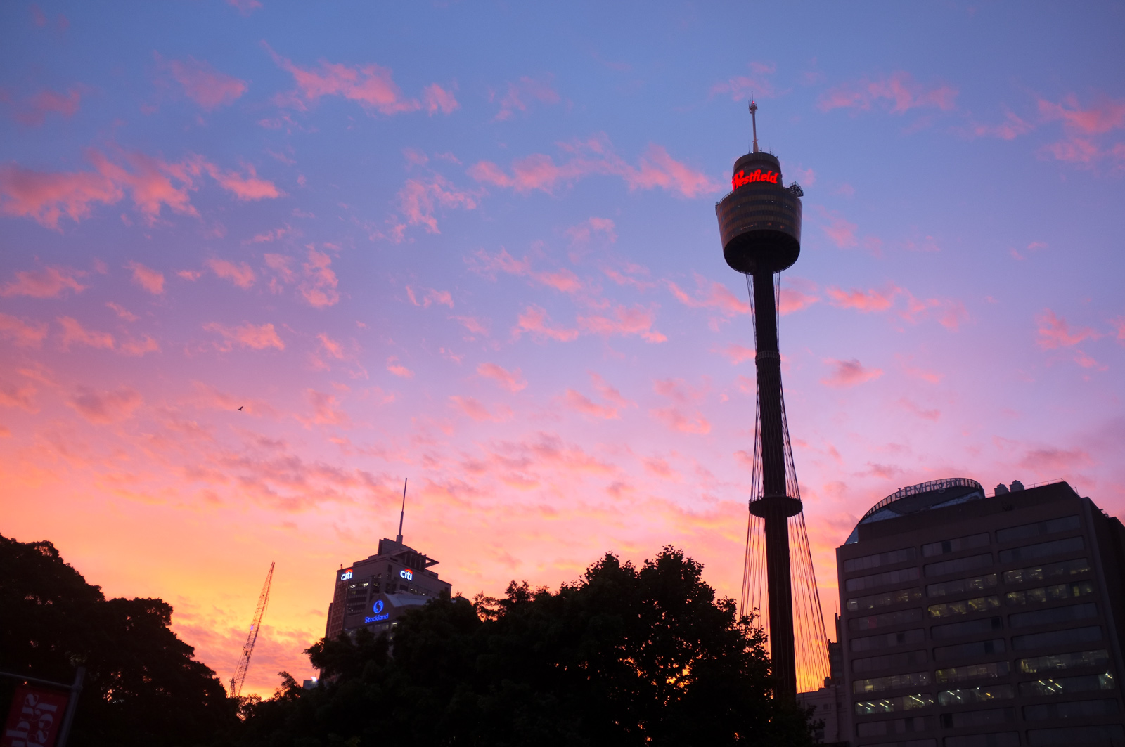 Tháp Sydney